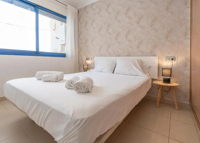 Palmera Del Mar Apartment