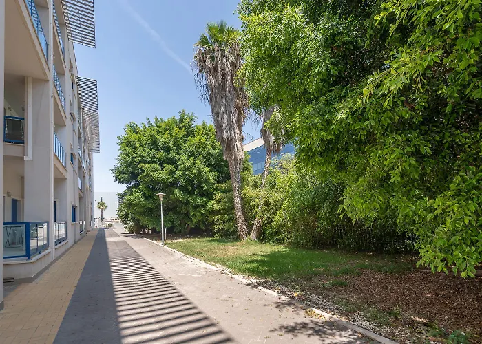 Apartment Palmera Del Mar Alicante